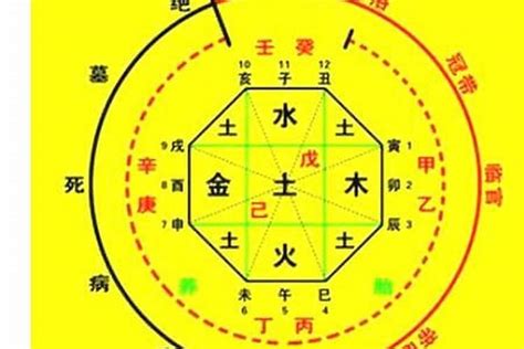 子平八字命盤|生辰八字算命、五行喜用神查詢（免費測算）